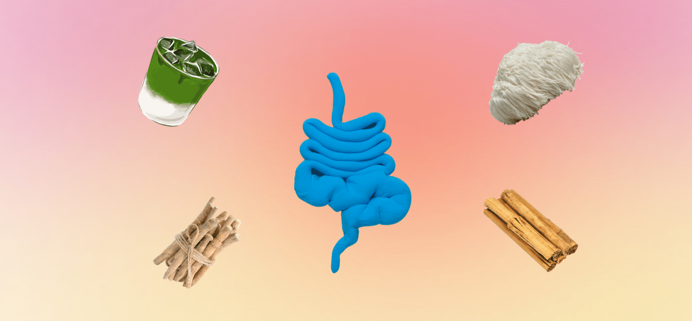 How Mushroom Matcha Enhances Gut Health and Digestion