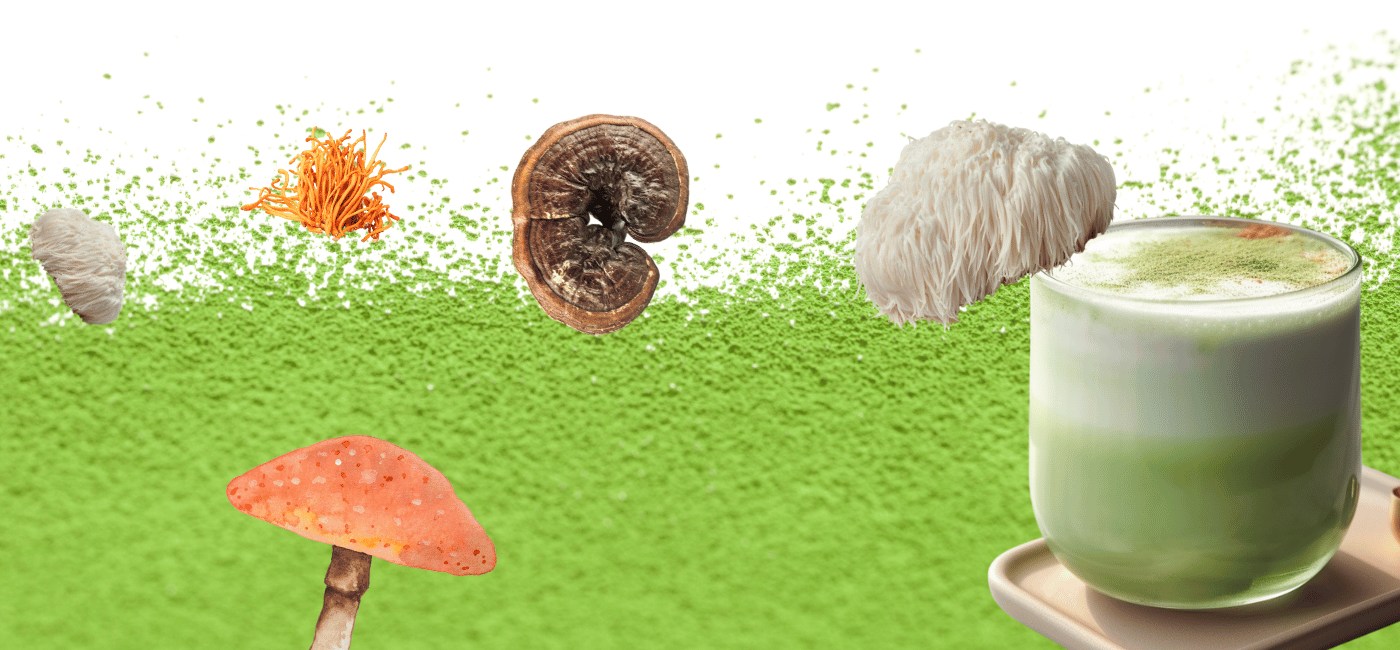 Mushroom Matcha: The Ultimate Guide to Choosing the Perfect Blend