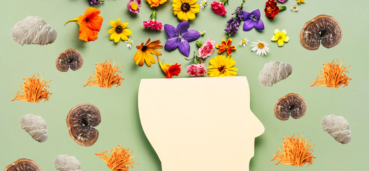 Mental health benefits of medicinal mushrooms: lions mane, reishi, and cordyceps