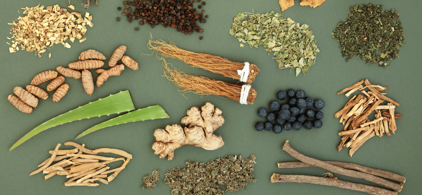 The Science Behind Adaptogens: The Root of Natural Wellness