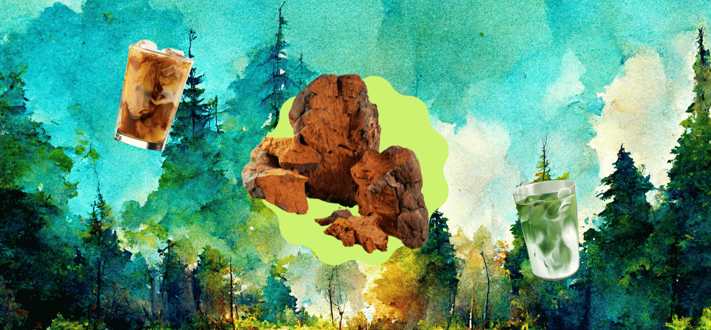 Benefits of Chaga Mushroom