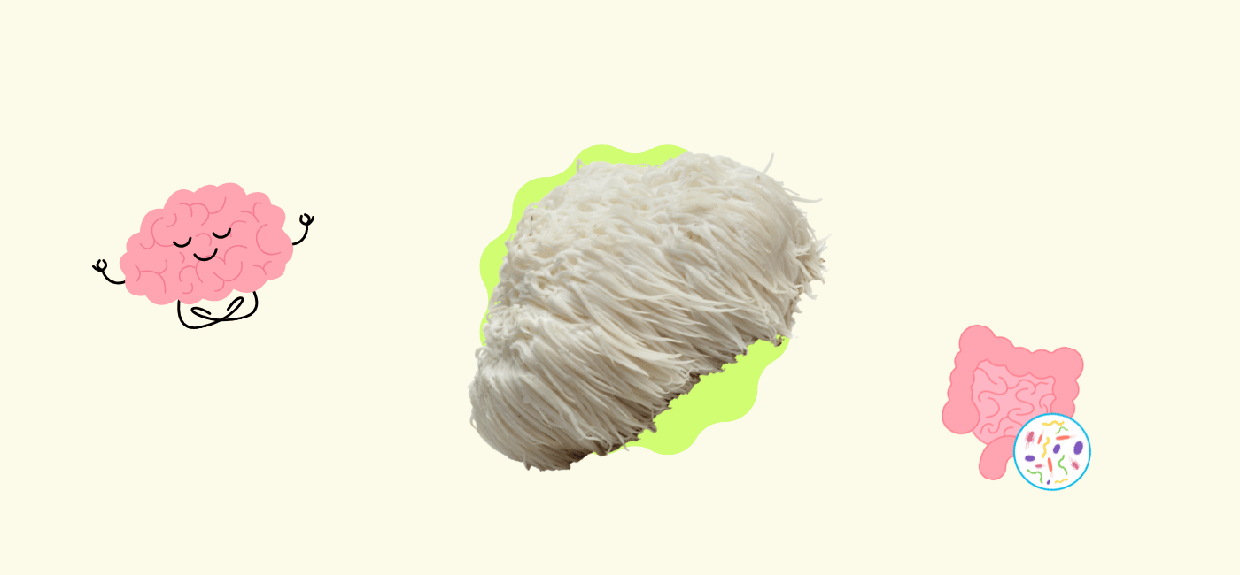 Lion's Mane Mushroom: The Complete Guide to Gut Health, Brain Function, and Mental Wellness
