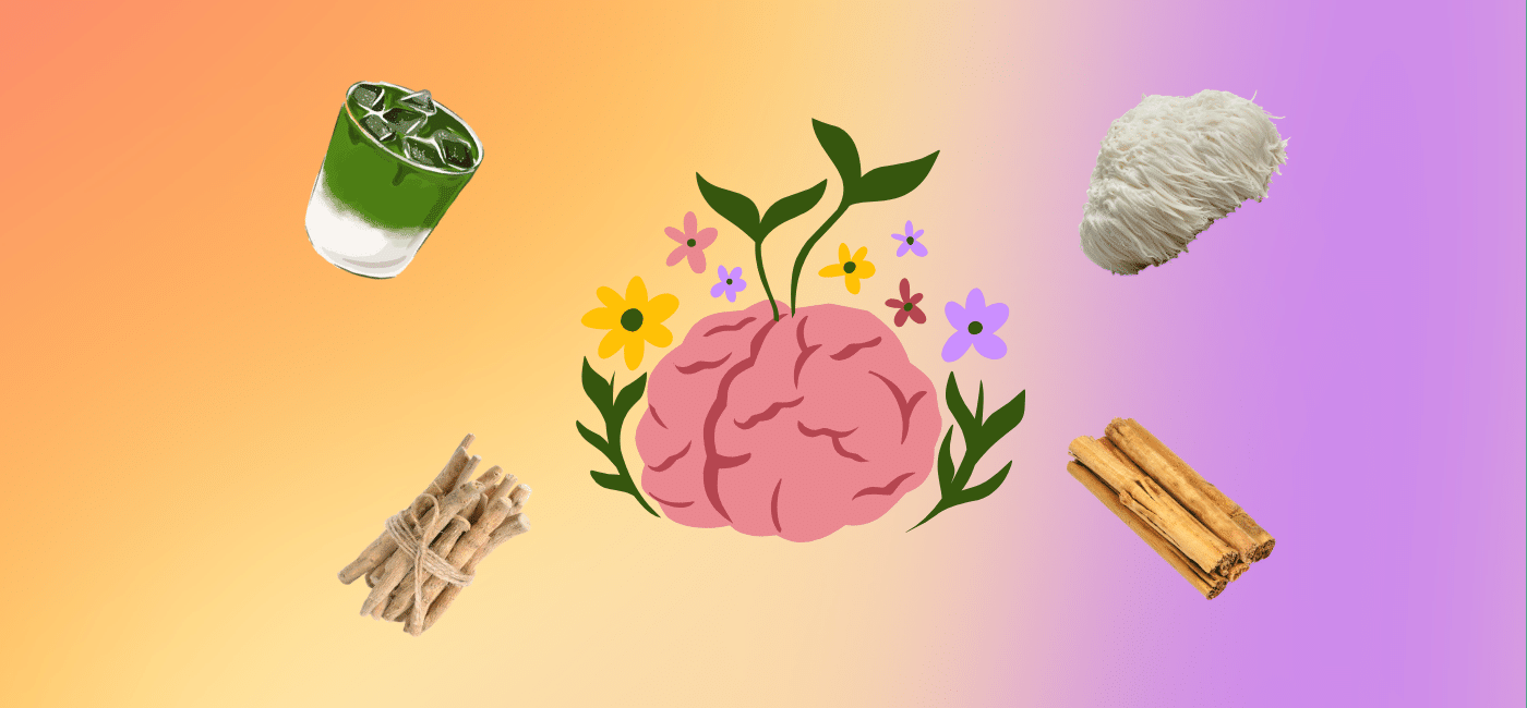 How Mushroom Matcha Can Improve Mental Health