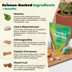 Wonder Matcha w/ Adaptogens and Lion's Mane