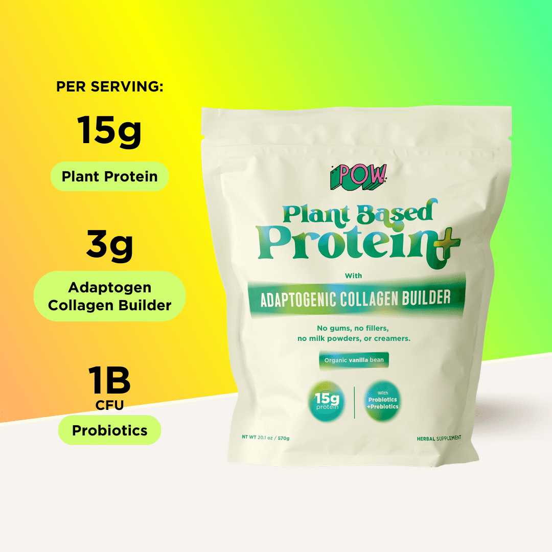 The Matcha Protein+ Pack (Save 15%)