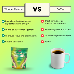 Best Seller Bundle: Wonder Matcha Wonder MCT Focus Creamer (Save 15%)
